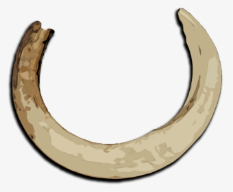 Boar Tusk Png Clipart , Png Download - Tusk Png, Transparent Png, Transparent PNG