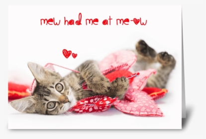 Tabby Kitten Meow Valentine Greeting Card - Cat Grabs Treat, HD Png Download, Transparent PNG