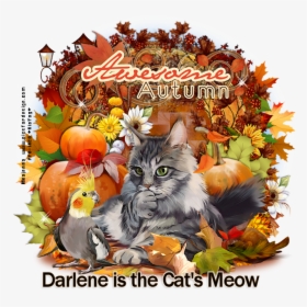 Darlene Is The Cat S Meow Co - Thanksgiving, HD Png Download, Transparent PNG