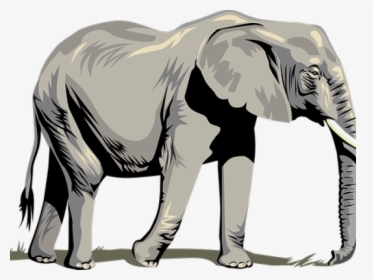 Tusk Clipart Asia Animal - Clipart Elephant Transparent Background, HD Png Download, Transparent PNG