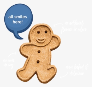 Buddy Biscuit Features - Buddy Biscuits, HD Png Download, Transparent PNG