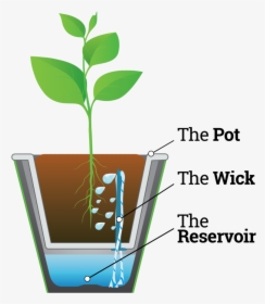 Infograph Waterwick - Graphic Design, HD Png Download, Transparent PNG