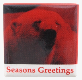 Seasons Greetings Polar Bear Events Button Museum - Love Piercings, HD Png Download, Transparent PNG
