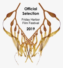 Eue-kelplaurel - Friday Harbor Film Festival 2018, HD Png Download, Transparent PNG