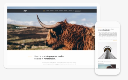 Scottish Highland Cow Side, HD Png Download, Transparent PNG