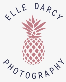 Elledarcy Circular Twocolor - Blue Pineapple, HD Png Download, Transparent PNG