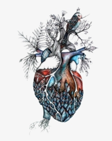 #heart #surreal - Anatomical Heart And Bird, HD Png Download, Transparent PNG