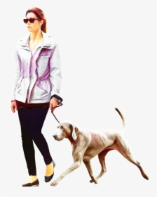 Dog Walking Portable Network Graphics Labrador Retriever - Person Walking Dog Png, Transparent Png, Transparent PNG