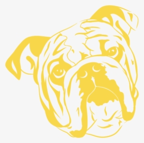 Bulldog Sketch Yellow - Illustration, HD Png Download, Transparent PNG