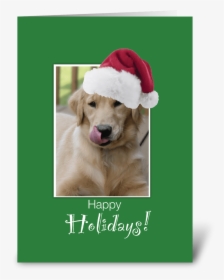 To Dog Walker At Christmas, Retriever Greeting Card - Happy Holidays Dog Gif, HD Png Download, Transparent PNG