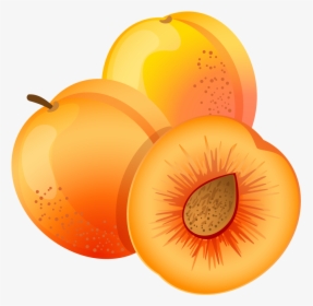 Apricot Clipart Png, Transparent Png, Transparent PNG