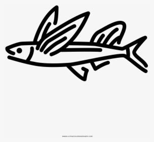 Flying Fish Coloring Page - Line Art, HD Png Download, Transparent PNG