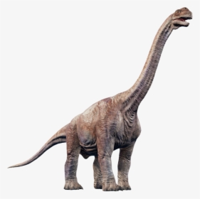   - Camarasaurus Jurassic World Evolution, HD Png Download, Transparent PNG