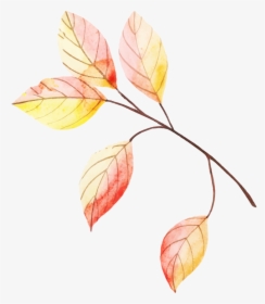 Autumn, HD Png Download, Transparent PNG