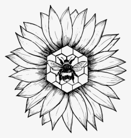 Sunflower And Bee Drawing, HD Png Download, Transparent PNG