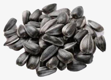 Russian Sunflower Seeds Raw, HD Png Download, Transparent PNG