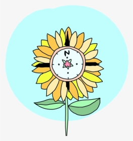 Sunflower Compass - Circle, HD Png Download, Transparent PNG