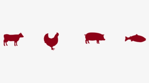 Home Allen Wholesale Foods - Cow Chicken Fish Pig, HD Png Download, Transparent PNG