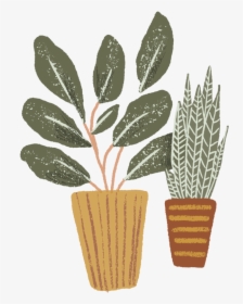 Bold Americana-05 - Houseplant, HD Png Download, Transparent PNG