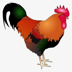 Poultry,livestock,fowl - Rooster Art Chicken Cartoon, HD Png Download, Transparent PNG