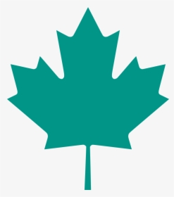 Hoja Bandera De Canada Clipart , Png Download - Clip Art Canadian Maple Leaf, Transparent Png, Transparent PNG