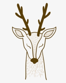 Pxe8re Davids Deer Sika Deer - Sika Deer, HD Png Download, Transparent PNG