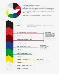 Img Infografia - Colores De Cinta En Taekwondo, HD Png Download, Transparent PNG