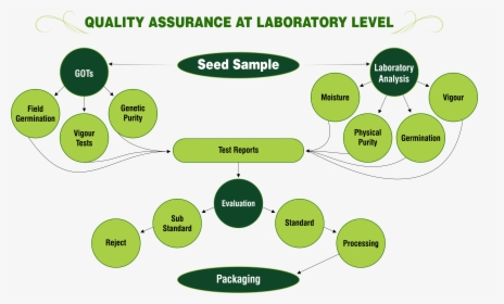 Quality Assurance At Laboratory Level - Laboratory Different Quality Assurance, HD Png Download, Transparent PNG