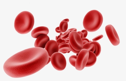 Red Blood Cells Png, Transparent Png, Transparent PNG
