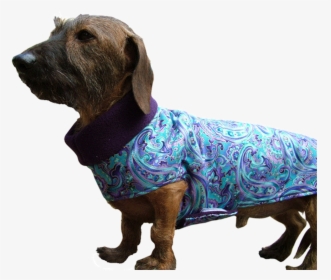 Designer Fabric Cuddler Dog Coat - Alpine Dachsbracke, HD Png Download, Transparent PNG