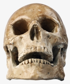 Skull Png Image, Transparent Png, Transparent PNG