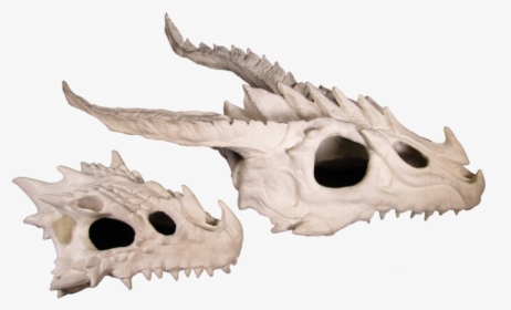 Dragon Skull Side View, HD Png Download, Transparent PNG