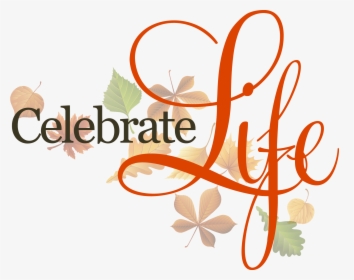 Love In Action 24 7 Pregnancy Solutions Services Birthday - Celebrate Life, HD Png Download, Transparent PNG