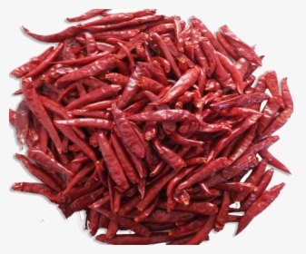 Dry Red Chilli , Png Download - Mathania Red Chilli, Transparent Png, Transparent PNG