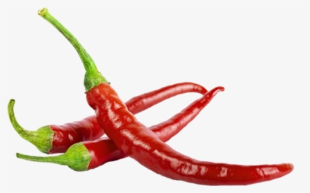 Chili Pepper Memes, HD Png Download, Transparent PNG
