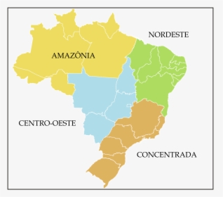 Transparent Mapa Do Brasil Png - Brazil Race Demographics, Png Download, Transparent PNG