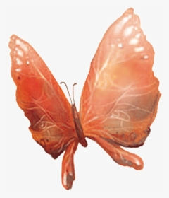 Hd Beautiful Colorful Butterfly Png - Riodinidae, Transparent Png, Transparent PNG