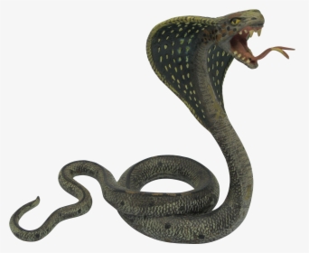 Snake Png Image - Black Mamba King Cobra Snakes, Transparent Png, Transparent PNG