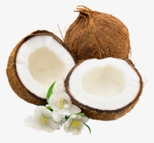 Coconut Water Juice Milk - Coco Png, Transparent Png, Transparent PNG