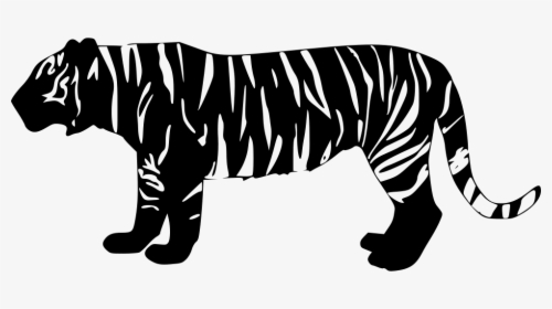 Tiger - Tiger Icon Png, Transparent Png, Transparent PNG