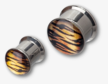 Steel Tiger Print Box Plug - Earrings, HD Png Download, Transparent PNG