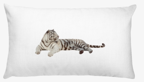 Class Lazyload Lazyload Mirage Cloudzoom Featured Image - White Rectangular Pillow, HD Png Download, Transparent PNG
