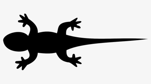 Newt Clipart Transparent - Black Lizard Clip Art, HD Png Download, Transparent PNG