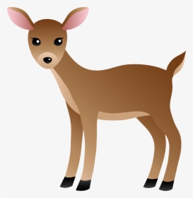 White Tailed Deer Clipart, HD Png Download, Transparent PNG