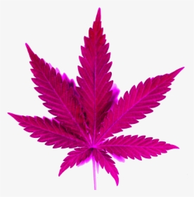 Smoke Clipart Png Tumblr - Marijuana Leaf, Transparent Png, Transparent PNG