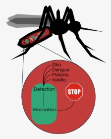 Disease Clipart Dengue Fever - Insect, HD Png Download, Transparent PNG