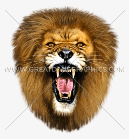 Roaring Lion Head Png - Roaring Lion Face Png, Transparent Png, Transparent PNG
