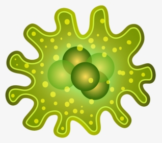 Smart Infectious Diseases For - Bacterias Png, Transparent Png, Transparent PNG