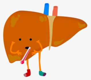 Sick Free On Dumielauxepices - Liver Pic Transparent Background, HD Png Download, Transparent PNG