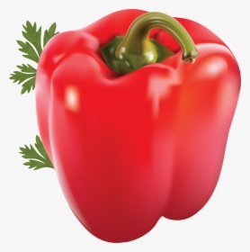 Pepper Png Image - One Red Bell Pepper, Transparent Png, Transparent PNG